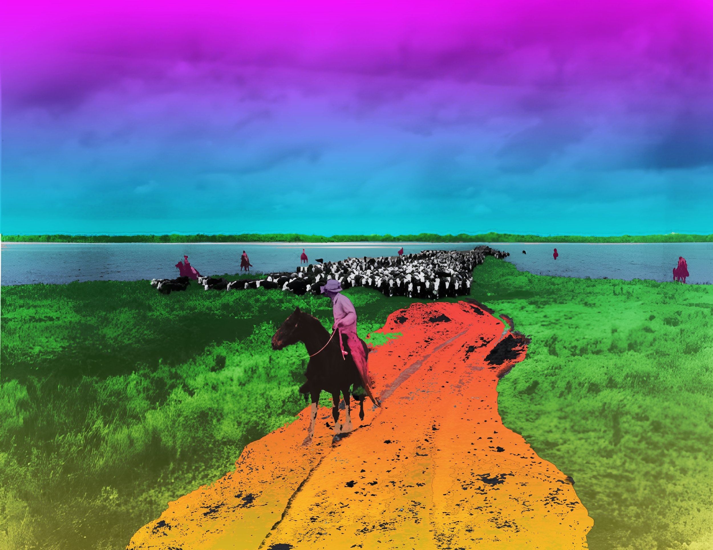 Herding North